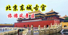 大鸡吧黄色网站中国北京-东城古宫旅游风景区